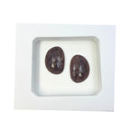Rose Cut Sapphire Slices: Natural Untreated Gemstone Pair
