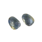 Untreated Sapphire Gemstone Slices: Rose Cut, Flat Back Pair