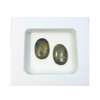 Rose Cut Sapphire Slices: Untreated Gemstone Pair for Jewelry