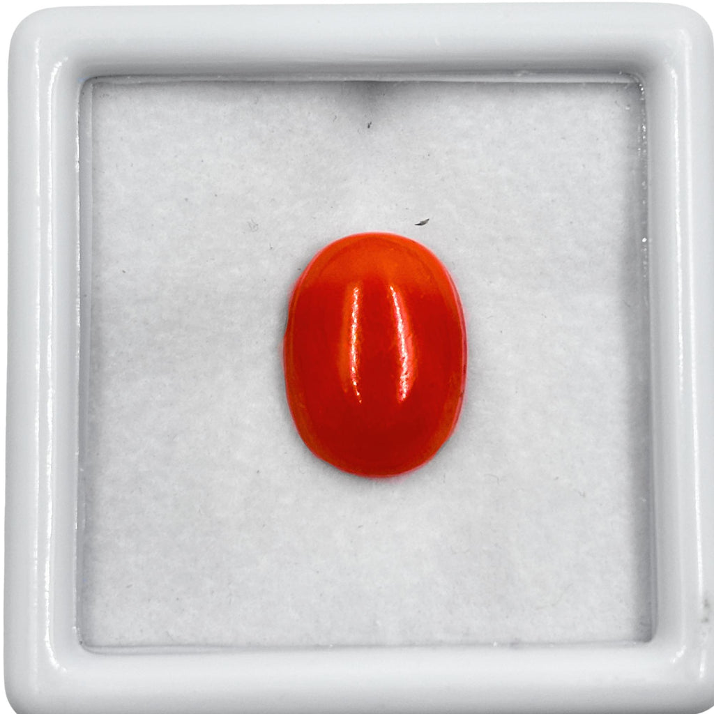Italian Red Coral Cabochon, Oval Gemstone (15mm)
