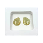 Untreated Sapphire Gemstone Slices: Rose Cut Pair, Flat Back