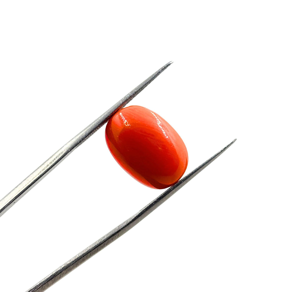 Italian Red Coral Cabochon, Oval Gemstone (15mm)